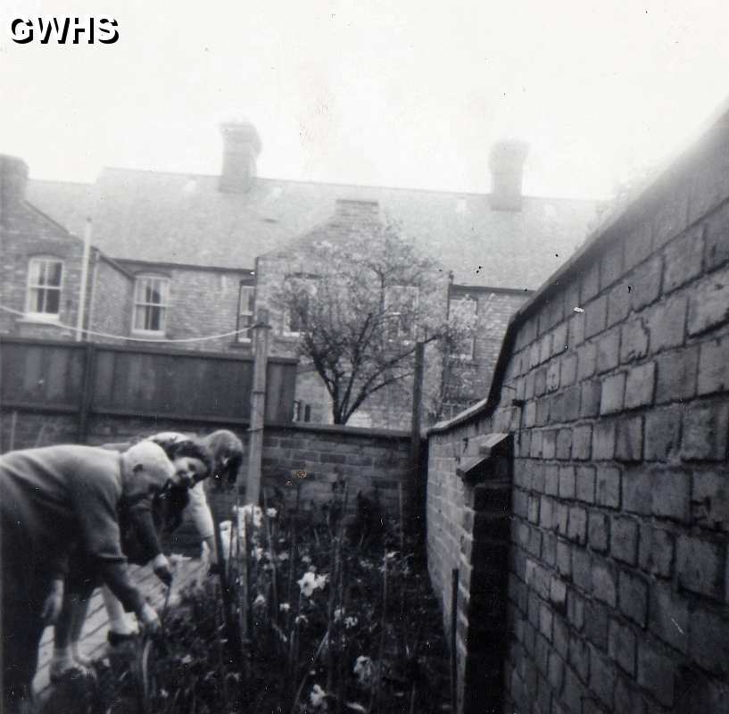 34-827 Allen Snutch in back Garden of 31 Albion Street South Wigston with Cousin Carol in the middle 1960's