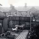 34-826 Back Garden of 31 Albion Street South Wigston with Rizzy the dog late 60's