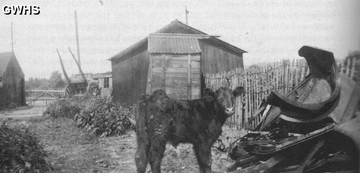 22-392 Les Forryan's hut Aylestone Lane  Wigston Magna circa 1948