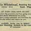 19-011 Sheila Whitehead Boarding Kennels South Wigston advert