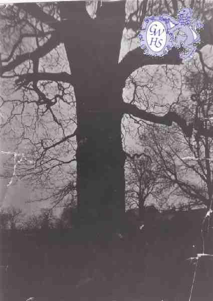 6-75 This Leicestershire Oak tree was sold for £700 before the first world war and felled by Hallam Bros