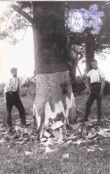 6-76 Leicestershire Wood-cutters Blaby c 1930