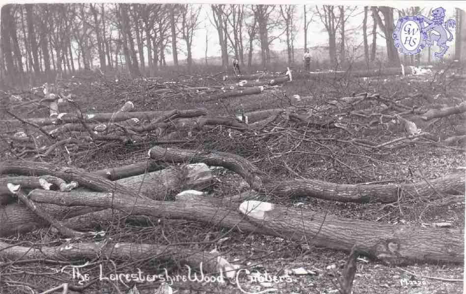 6-79 Leicestershire Wood-cutters Blaby c 1930