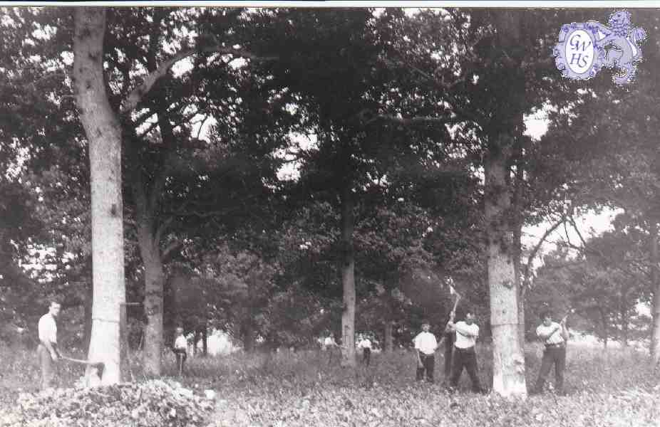 6-80 Leicestershire Wood-cutters Blaby c 1930