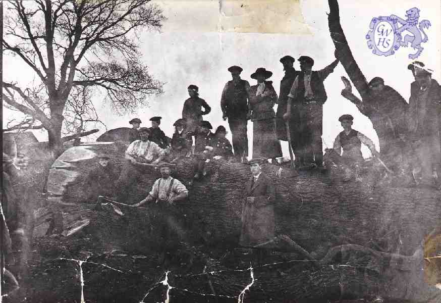 6-82 Leicestershire Wood-cutters Blaby c 1930