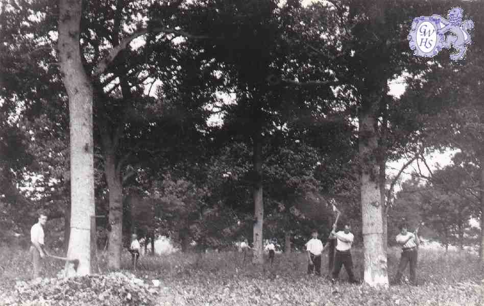 6-84 Leicestershire Wood-cutters Blaby c 1930