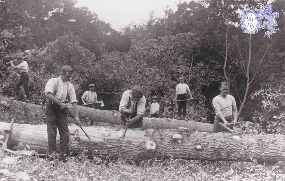 6-85 Leicestershire Wood-cutters Blaby c 1930