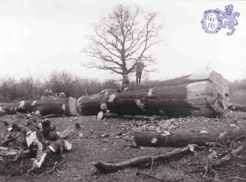 6-89 Leicestershire Wood-cutters Blaby c 1930