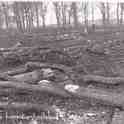 6-79 Leicestershire Wood-cutters Blaby c 1930