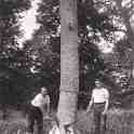 6-86 Leicestershire Wood-cutters Blaby c 1930
