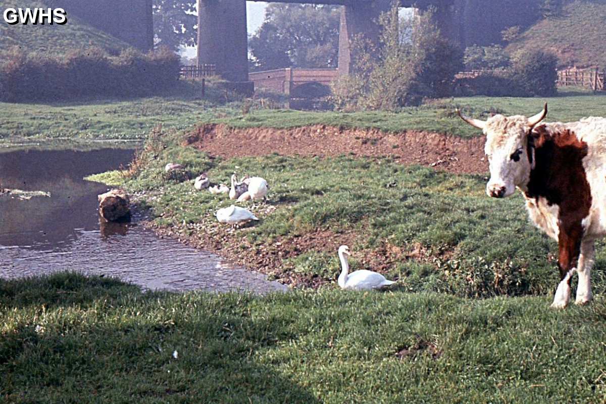 30-787 Crow Mils with the old railway bridge South Wigston 1960's