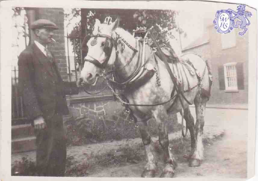 30-202 Tom Roe holding the head of a Co-operative dairy horse in Newgate End Wigston Magna circa 1930