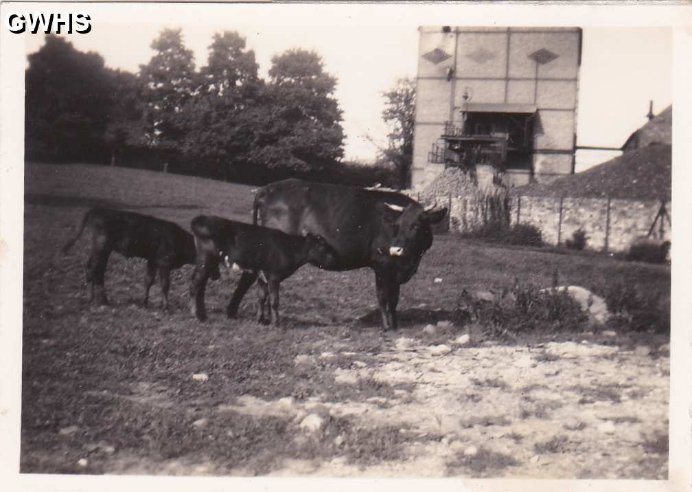 30-210 Wigston Gas Works Retort House taken from the field at Manor House in the 1930's