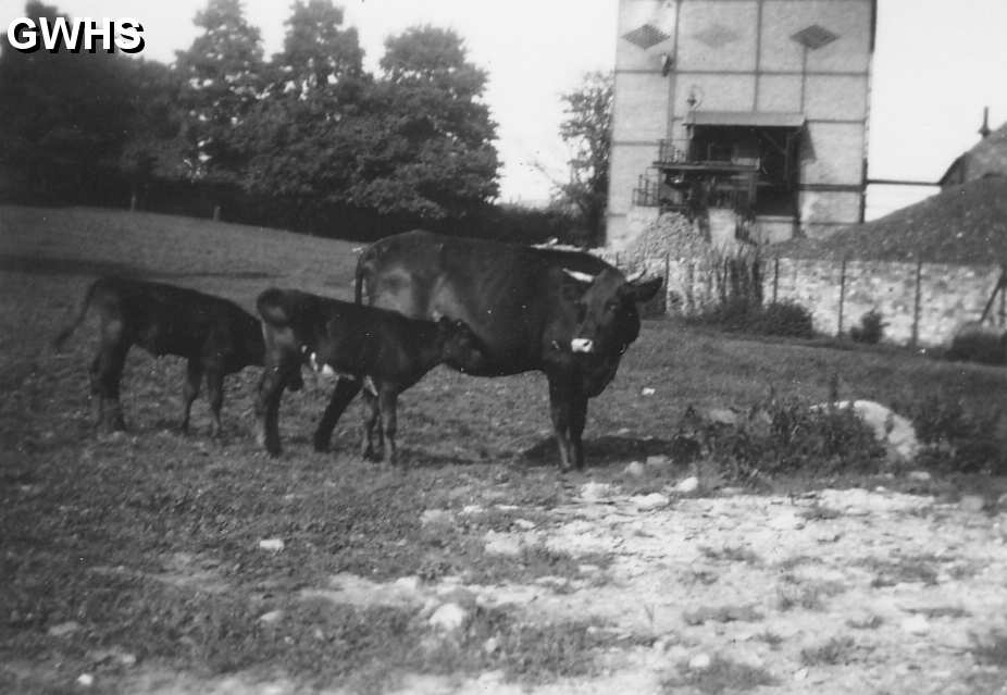 30-210a Wigston Gas Works Retort House taken from the field at Manor House in the 1930's