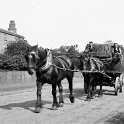 30-484 1905 picture of horse and cart of J G Glover of South Wigston returning from Leicester with spun wool.