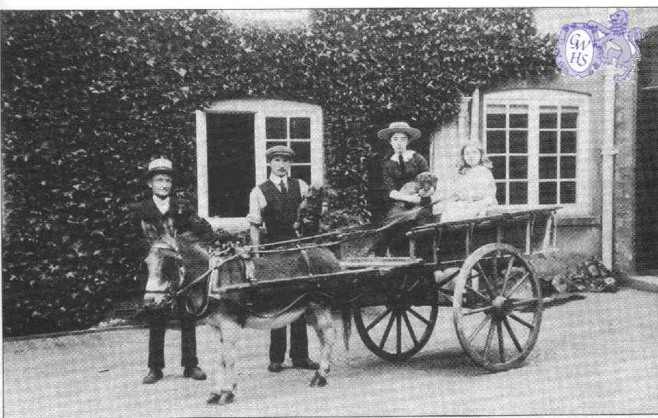 22-138 The Rolleston Family at Glen Parva Grange 1905 Clarice Clover and Dorothy Wright in the cart with John Wright holding the donkey