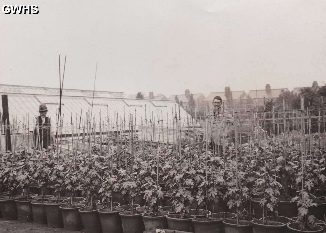 30-090 Horlocks Nursery Leicester Road Wigston Fields circa 1930