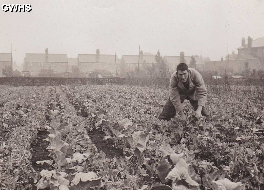 30-091 Horlocks Nursery Leicester Road Wigston Fields circa 1930