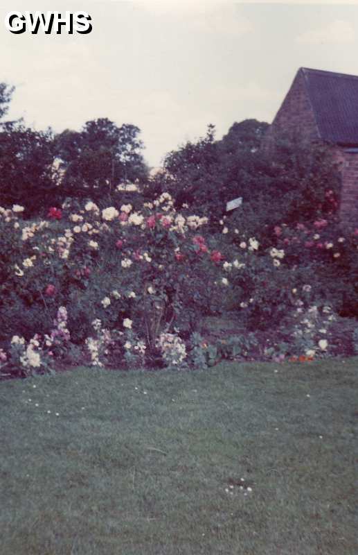 30-098 Garden at House at Horlocks Nurseries Wigston Fields circa 1961