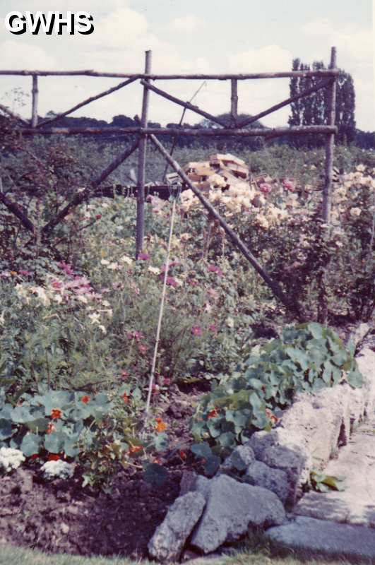 30-102 Garden at Horlocks Nurseries Wigston Fields circa 1961