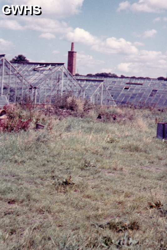 30-104 Horlock Nursery Leicester Road Wigston Fields in 1961