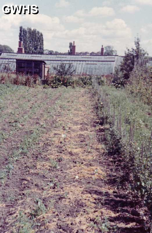 30-174 Horlock Nursery in 1961