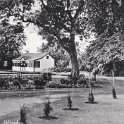 8-169 Memorial Park Long Street Wigston Magna (trees felled in 1936)