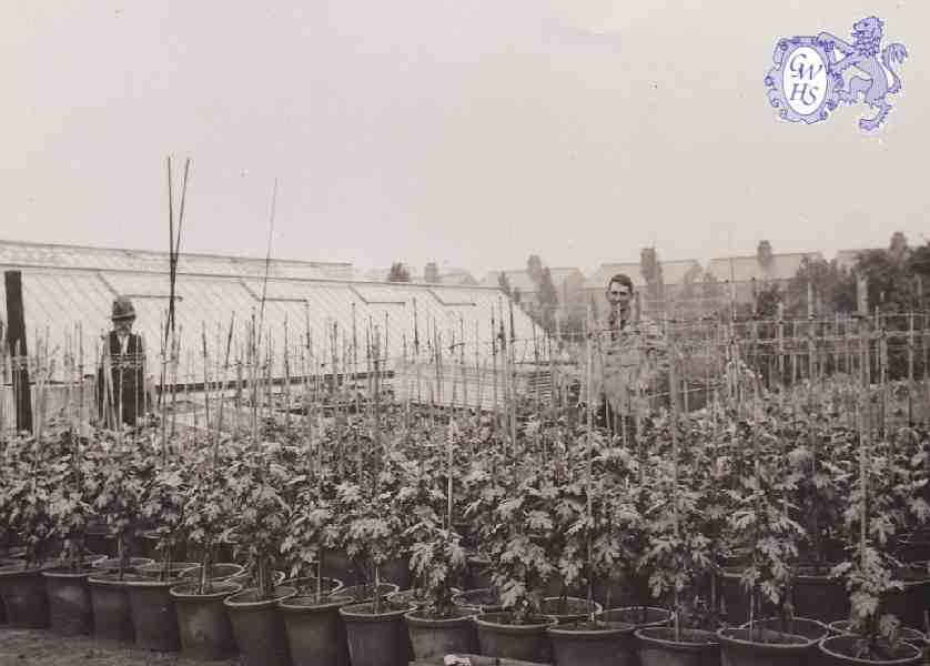 30-090 Horlocks Nursery Leicester Road Wigston Fields circa 1930