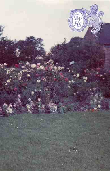 30-098 Garden at House at Horlocks Nurseries Wigston Fields circa 1961