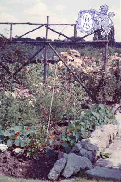 30-102 Garden at Horlocks Nurseries Wigston Fields circa 1961