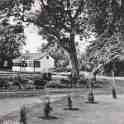 8-169 Memorial Park Long Street Wigston Magna (trees felled in 1936)