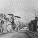 22-092 Moat Street circa 1911 showing Cedar Tree