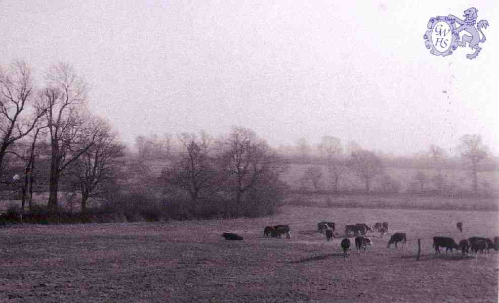 23-697 Lost pastoral scene of Wigston Magna by Ivor Dann