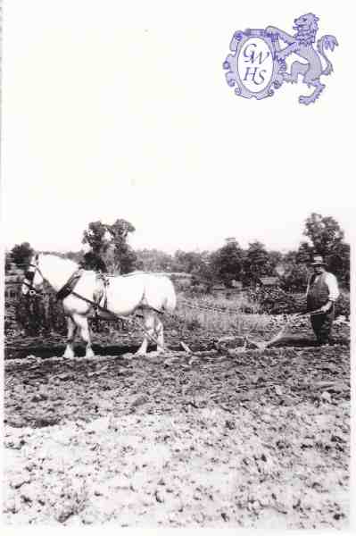 6-24 Horse ploughing in Wigston Magna