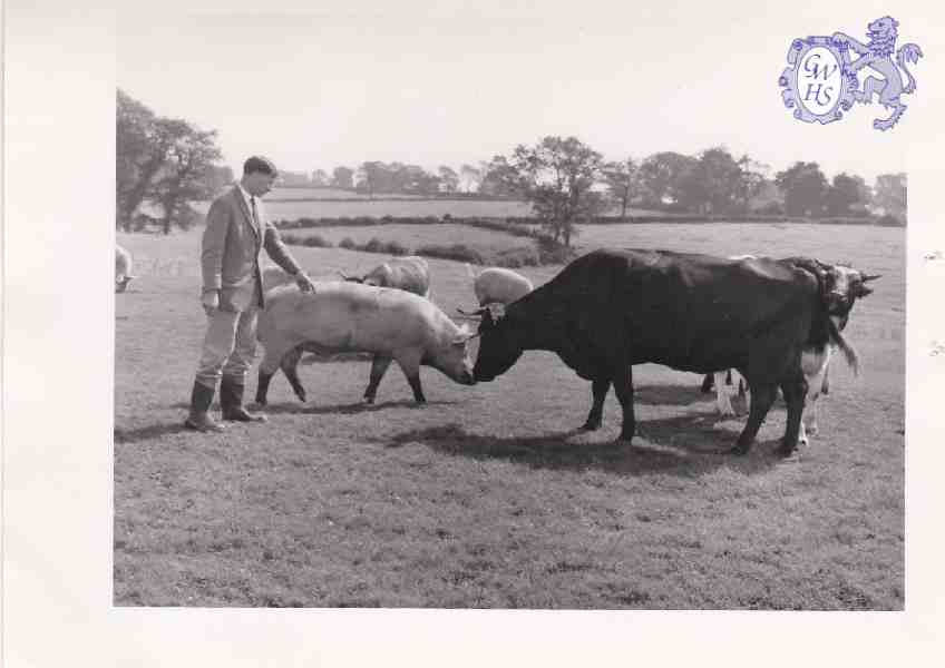 6-68 Duncan Lucas at White Gate Farn c 1960 - now site of Wigston Harcourt