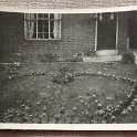 30-686 Front garden of a house in Northfield Avenue for the Queens Coronation in 1953 Wigston Magna