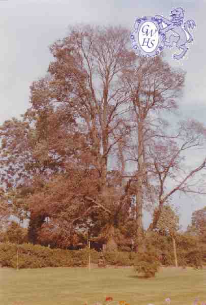 29-655 trees at Wjite Gate Farm Newton Lane Wigston Magna