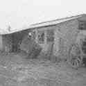 22-407 White Gate Farm cow shed 1960's  Wigston Magna