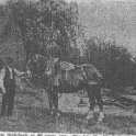 19-454 Mr Eli Bailey holding horse Wigston Magna c 1890