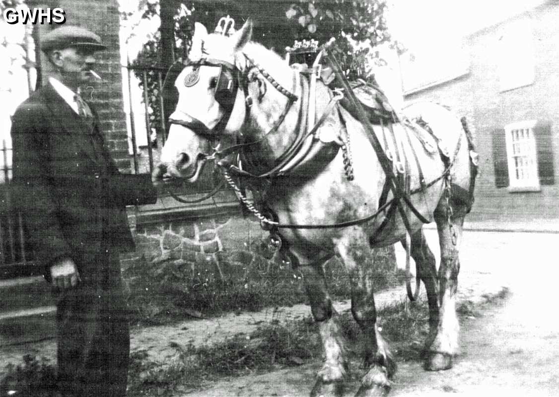 33-750 Tom Roe with the Co-op horse in Newgate End Wigston Magna c 1960