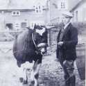 33-668 Farm yard at Rectory farm Wigston Magna c 1950
