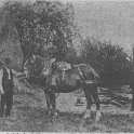 22-412 Eli Bailey holding horse and on right Tom Bailey  circa 1900
