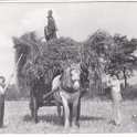 6-55 Harvest in Wigston Magna early 1940's