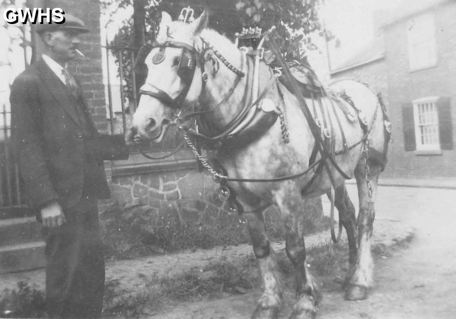 30-202a Tom Roe holding the head of a Co-operative dairy horse in Newgate End Wigston Magna circa 1930
