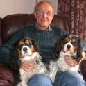 34-579 Ron Chapman at home in Waikiki, Perth, Western Australia in 2017 with our Cavalier King Charles Spaniels Ruby and Molly