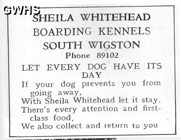 20-118 Sheila Whitehead boarding Kennels South Wigston