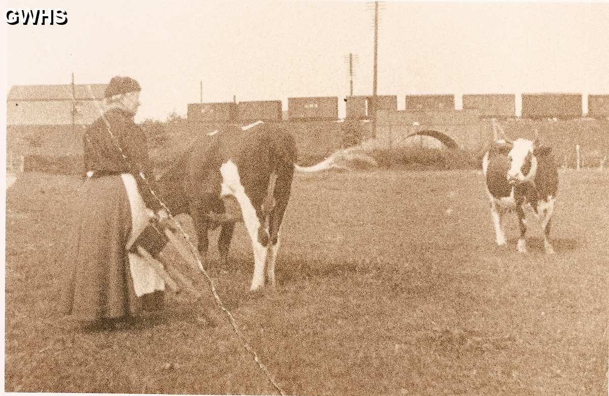 29-126 Farming in South Wigston