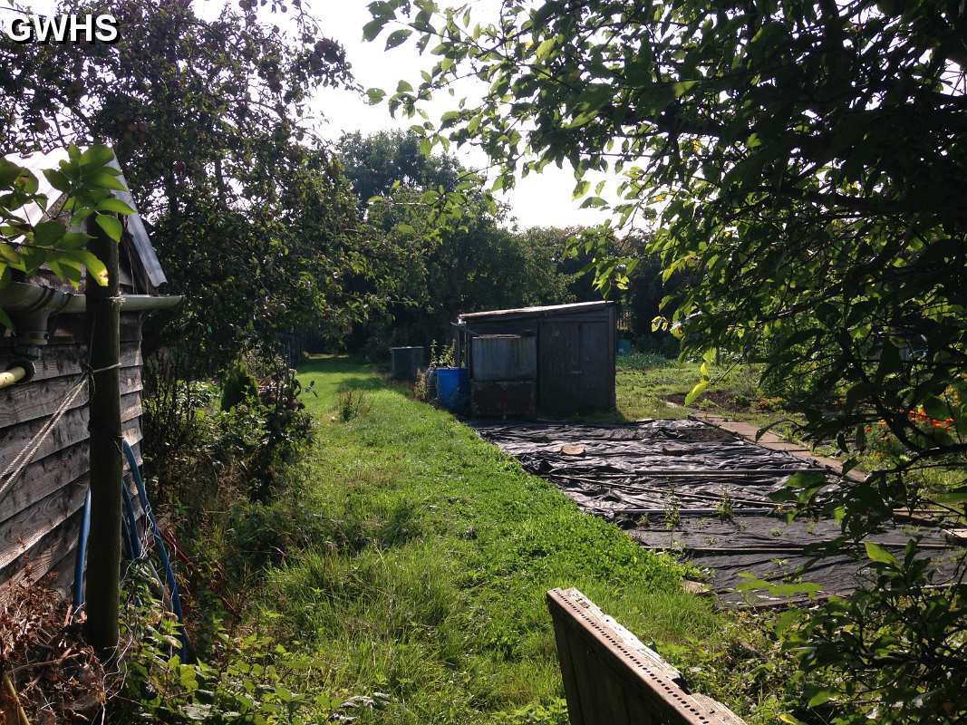 26-117 Allotments by The Lanes Aug 2014