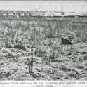 33-576 Wigston Fields land for proposed Sports Arena 1968