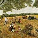 33-466 Hay making in Wigston painted by R Wignall 1983
